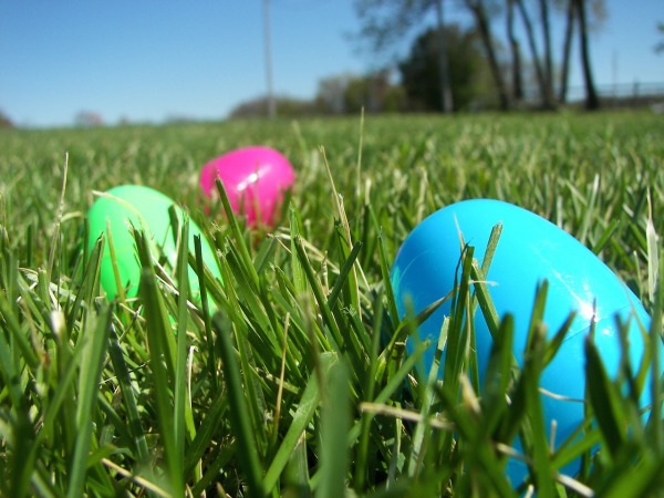 Easter egg hunt time for the kids