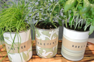 5 DIY Indoor Garden Ideas for Your Home